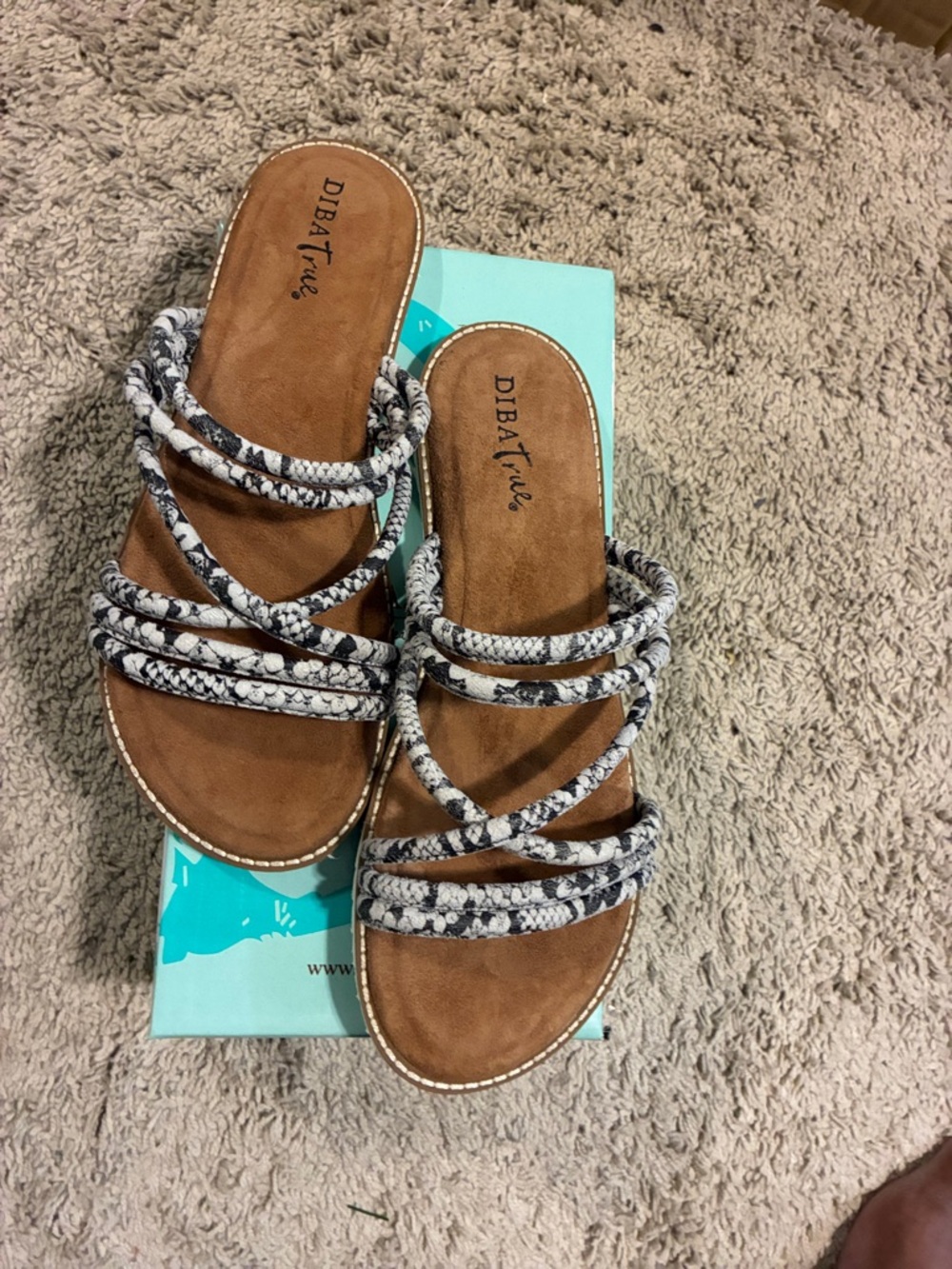 Diba True Women's Strappy Snake-Print Slide Sandals in Black/White